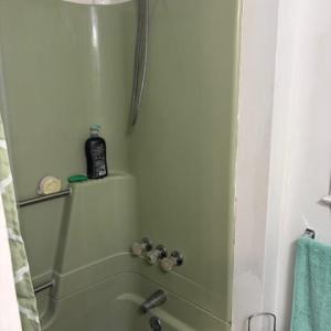 Photo #20 of 173 Tyree Circle, Madison Heights, VA 1.8 acres