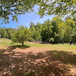 Photo #35 of 2107 Boxwood Farm Rd, Amherst, VA 10.0 acres