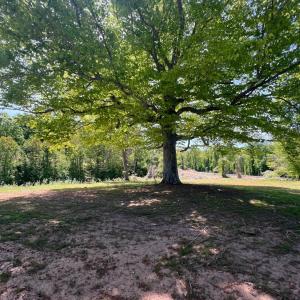 Photo #27 of 2107 Boxwood Farm Rd, Amherst, VA 10.0 acres