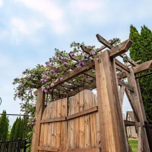 Photo #78 of 1415 Lake Manor Drive, Forest, VA 1.0 acres