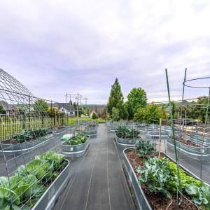 Photo #80 of 1415 Lake Manor Drive, Forest, VA 1.0 acres