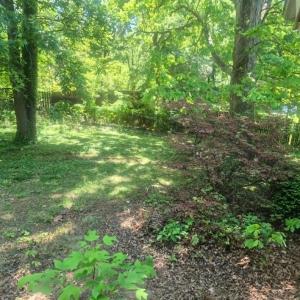 Photo #4 of 1004 Lakeview Drive, Lynchburg, VA 0.4 acres