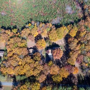 Photo #70 of 4867 Browns Mill Road, Rustburg, VA 2.3 acres