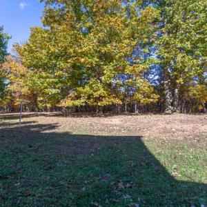 Photo #33 of 4867 Browns Mill Road, Rustburg, VA 2.3 acres