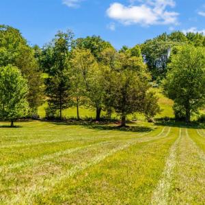 Photo #59 of 1094 Donnally Rd, Forest, VA 2.8 acres