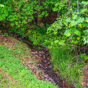 Photo #48 of 1025 Morey Place, Lynchburg, VA 0.5 acres