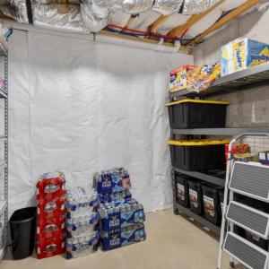 Photo #46 of 1199 Whispering Springs Court, Forest, VA 0.5 acres