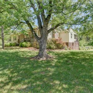 Beautiful trees, yard, landscaping and privacy
