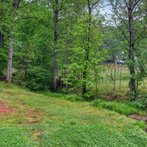 Photo #73 of 146 Anderson Ln., Lovingston, VA 2.0 acres