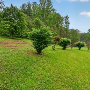 Photo #65 of 146 Anderson Ln., Lovingston, VA 2.0 acres