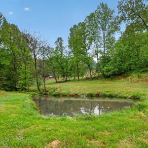 Photo #4 of 146 Anderson Ln., Lovingston, VA 2.0 acres