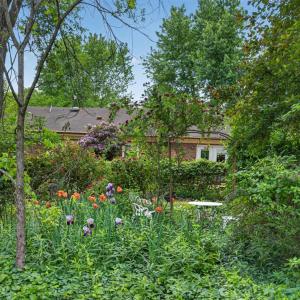 Photo #48 of 4480 Pigeon Run Road, Gladys, VA 2.2 acres