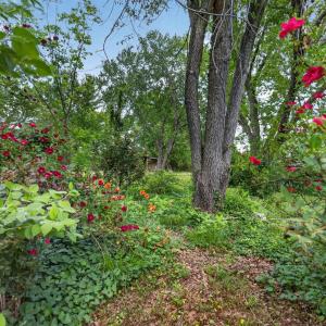 Photo #54 of 4480 Pigeon Run Road, Gladys, VA 2.2 acres