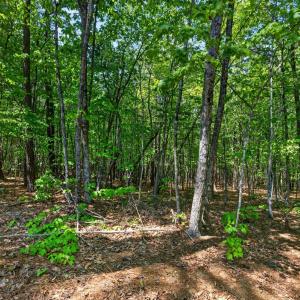 Photo #60 of 1301 Hummingbird Lane, Spout Spring, VA 1.3 acres