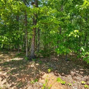 Photo #57 of 1301 Hummingbird Lane, Spout Spring, VA 1.3 acres