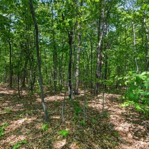 Photo #58 of 1301 Hummingbird Lane, Spout Spring, VA 1.3 acres