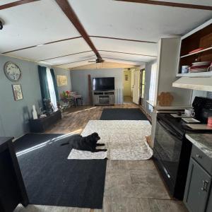 Photo #3 of 1291 Riverville Road, Gladstone, VA 6.3 acres