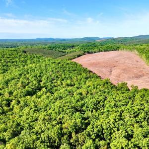 Photo #12 of 1291 Riverville Road, Gladstone, VA 6.3 acres