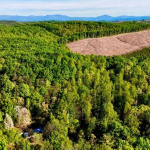Photo #11 of 1291 Riverville Road, Gladstone, VA 6.3 acres