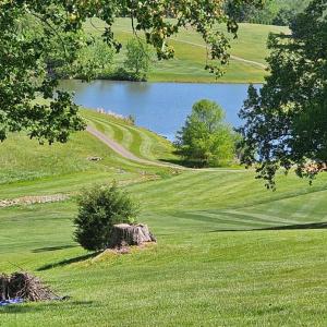 Photo #7 of 204 Shaker Lane, Forest, VA 0.4 acres