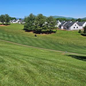 Photo #8 of 204 Shaker Lane, Forest, VA 0.4 acres