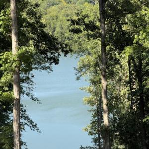 Photo #4 of 2032 Turkey Mountain Road, Amherst, VA 3.6 acres