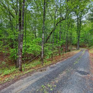 Photo #32 of 189 Pera Road, Monroe, VA 7.6 acres