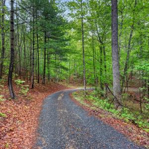 Photo #31 of 189 Pera Road, Monroe, VA 7.6 acres