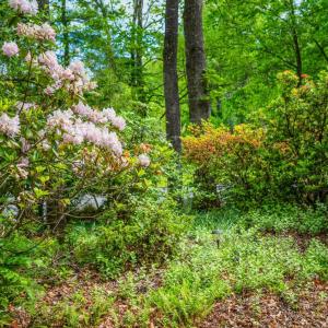 Photo #63 of 3563 Round Hill Road, Lynchburg, VA 0.6 acres