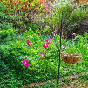 Photo #66 of 3563 Round Hill Road, Lynchburg, VA 0.6 acres