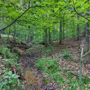 Photo #69 of 1249 Cedar Gate rd., Monroe, VA 2.9 acres