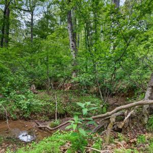 Photo #68 of 1249 Cedar Gate rd., Monroe, VA 2.9 acres