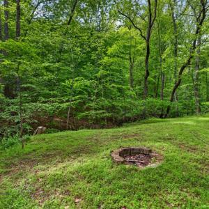 Photo #71 of 1249 Cedar Gate rd., Monroe, VA 2.9 acres