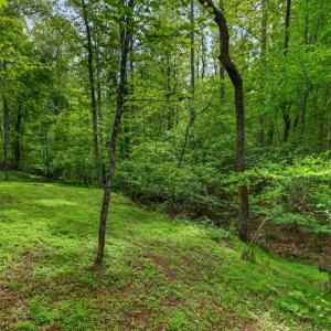 Photo #67 of 1249 Cedar Gate rd., Monroe, VA 2.9 acres