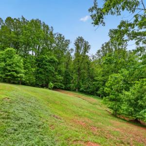Photo #63 of 1249 Cedar Gate rd., Monroe, VA 2.9 acres