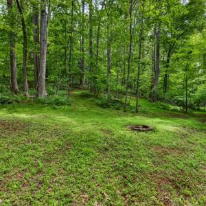 Photo #70 of 1249 Cedar Gate rd., Monroe, VA 2.9 acres