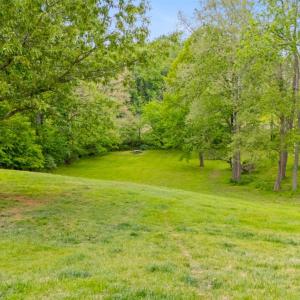 Photo #3 of 1254 Ivy Creek Drive, Forest, VA 1.4 acres