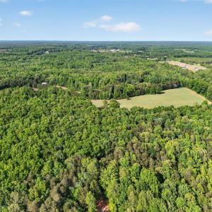 Photo #43 of 644 Campbell Crossing Road, Meherrin, VA 30.2 acres