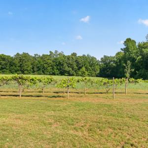Photo #32 of 644 Campbell Crossing Road, Meherrin, VA 30.2 acres