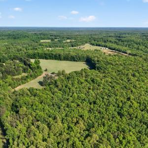 Photo #41 of 644 Campbell Crossing Road, Meherrin, VA 30.2 acres