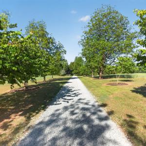 Photo #3 of 644 Campbell Crossing Road, Meherrin, VA 30.2 acres