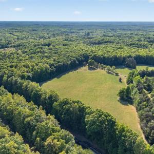 Photo #42 of 644 Campbell Crossing Road, Meherrin, VA 30.2 acres