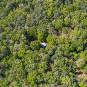 Photo #39 of 157 White Pine Court, Monroe, VA 5.1 acres
