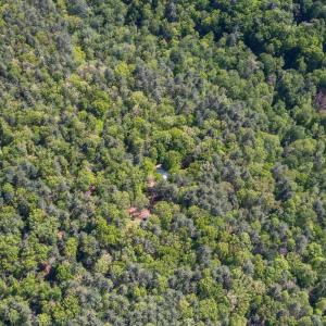Photo #40 of 157 White Pine Court, Monroe, VA 5.1 acres