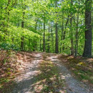 Photo #35 of 157 White Pine Court, Monroe, VA 5.1 acres