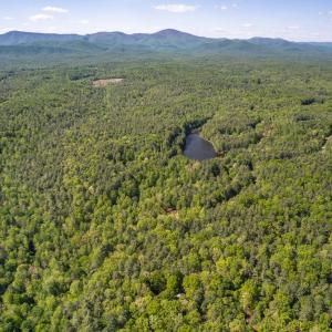 Photo #41 of 157 White Pine Court, Monroe, VA 5.1 acres