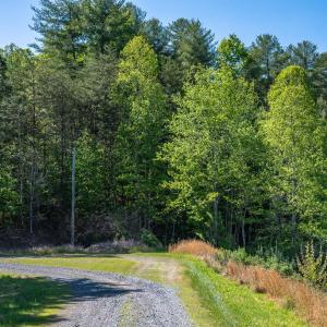 Direct access trail to National Forest
