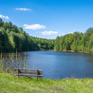 Community Lake (up to 30ft deep)