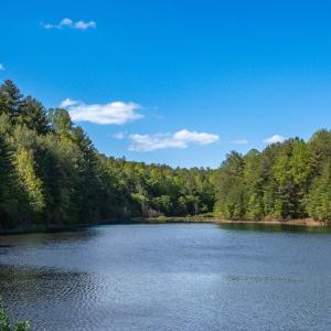 Photo #43 of 157 White Pine Court, Monroe, VA 5.1 acres