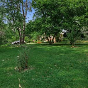 Photo #63 of 1271 Church Street, Appomattox, VA 1.4 acres